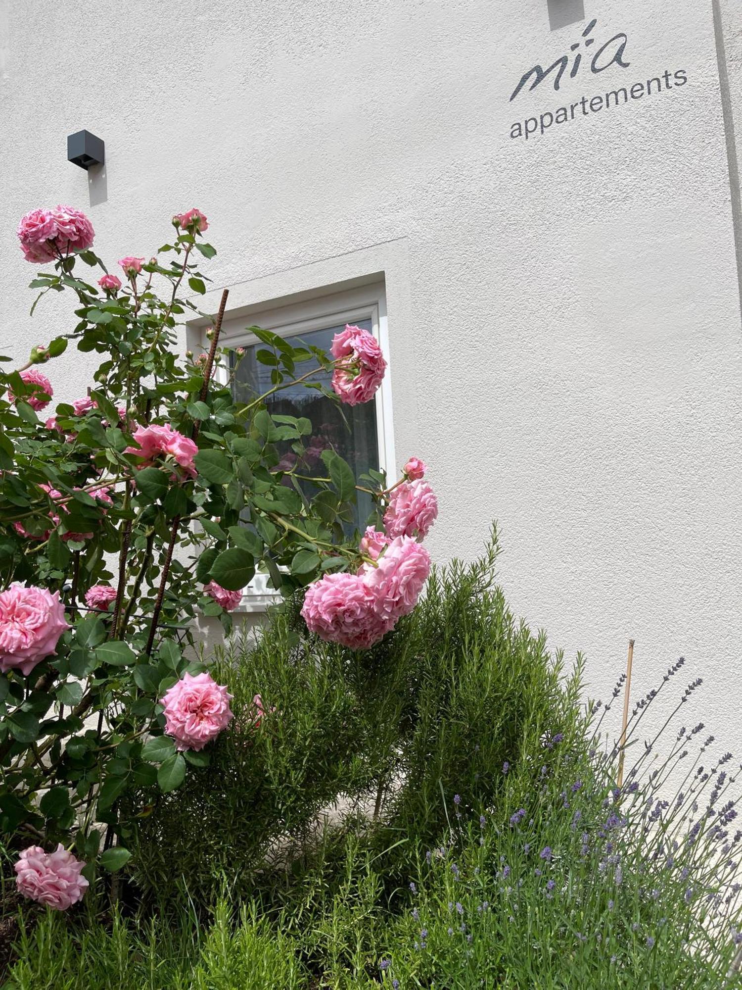 Mia Appartements Innsbruck Exterior foto